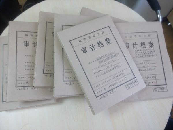 审计档案案例